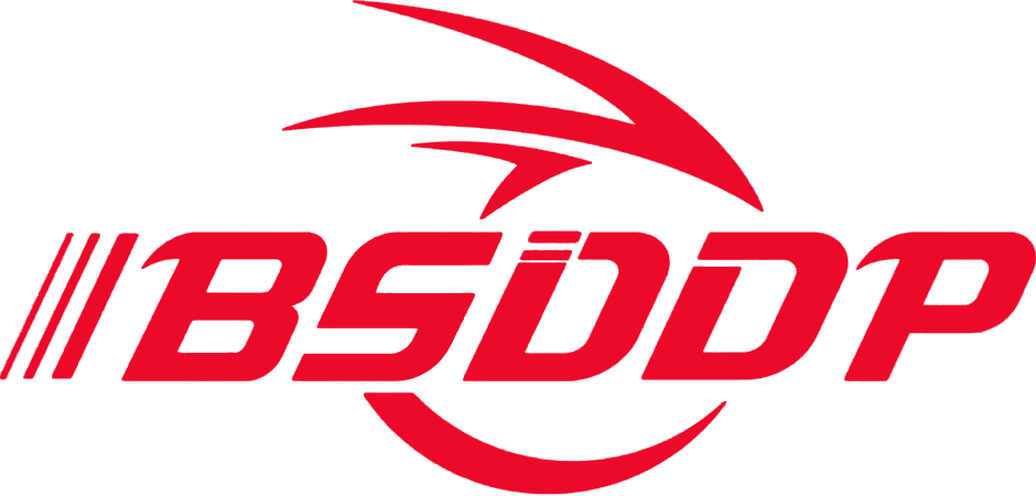 BSDDP